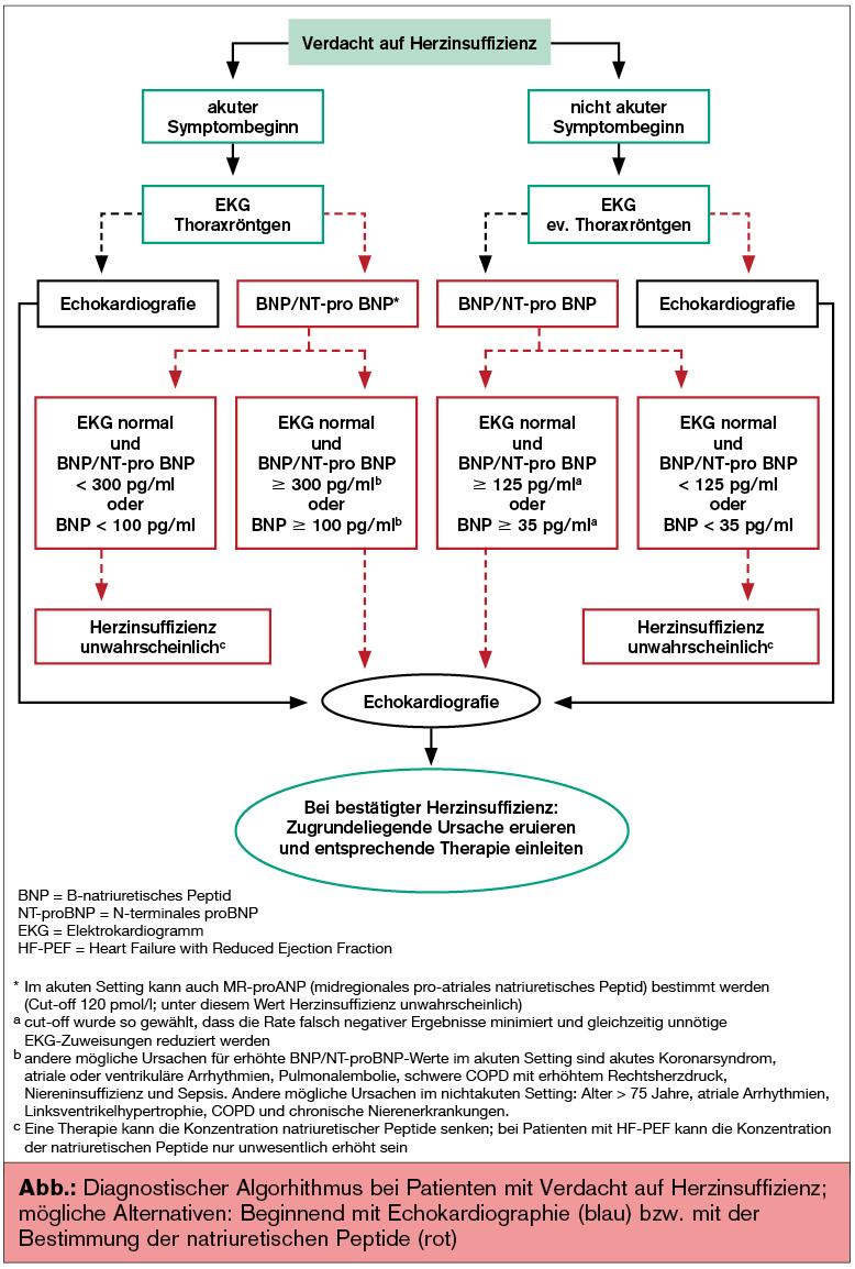 ESC-Guidelines 2012 – Was ist neu in der Diagnostik und Therapie der ...